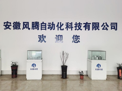 Anhui Fengteng Automatic Technology Co., Ltd. 案例图片