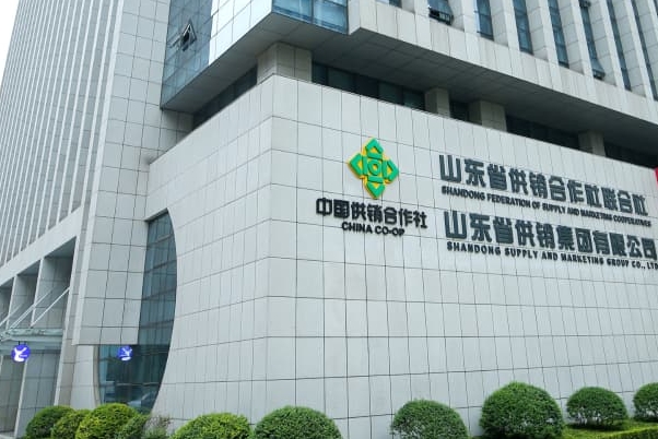 山东省供销社集团网站建设案例图片