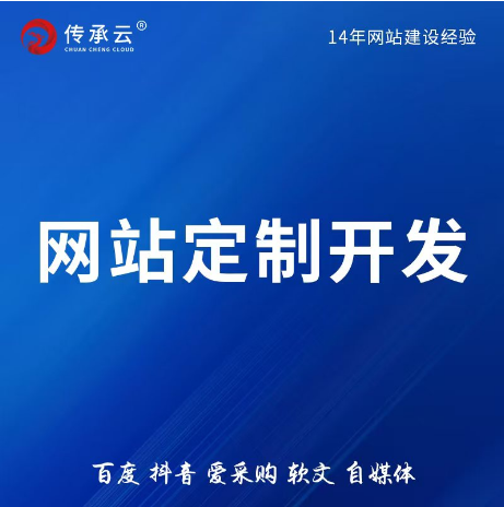 网站定制开发